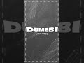 Dumebi lyrics (rema)