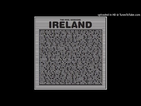 Eleven - John Peel Session 5th June 1984