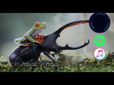 Future Frog - Electro/Dance - Royalty Free Music