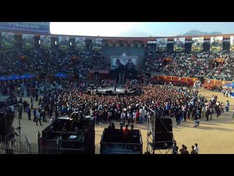 Terco 92 en red bull- mala mujer