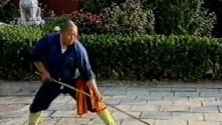 Shaolin kung fu 24 methods of missing spear staff