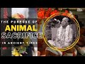 Purpose Of Animal Sacrifice In Ancient Times