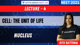 Phoenix 2.0: Biology Most Important Video for NEET 2025 | Udaan
