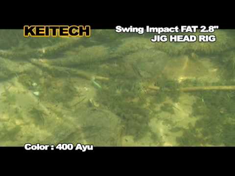 Keitech Swing Impact FAT Castaic Choise 406