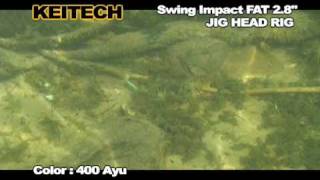 Miniature de la vidéo Nage du leurre souple Keitech Swing Impact Fat 2.8