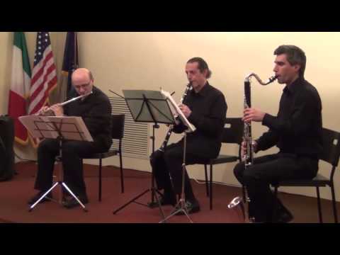 Mancini - The Pink Panther Theme - Trio Sedna - Ugo Piovano