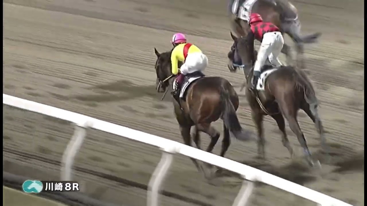 【今日の川崎競馬】⑧ミスフォルテ 本田正重 故意敗退八百長疑惑 2番人気で道中マトモに乗らず、3着まで届かないと決まってからゴール直前だけ追う