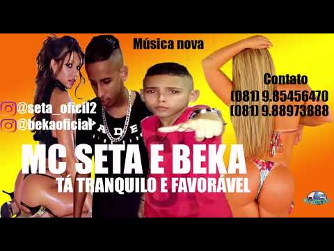 MC SETA E BEKA  - TÁ TRANQUILO FAVORÁVEL - MÚSICA NOVA