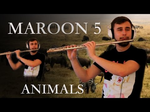 Maroon 5 - Animals Flute Cover
