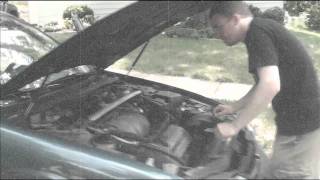 "The White One"  - The Neologist