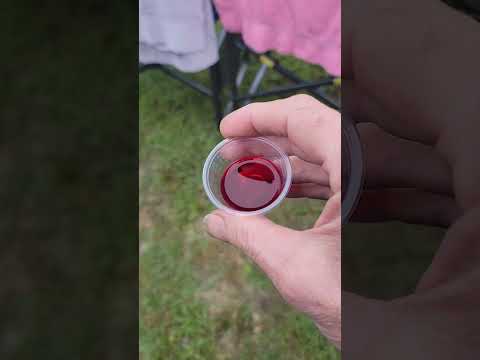 Easter Communion Grape Juice NO Wine. Thank God.