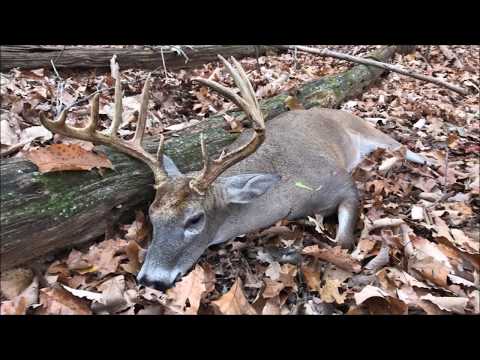The Hit List Buck Goes Down! Biggest buck to Date!