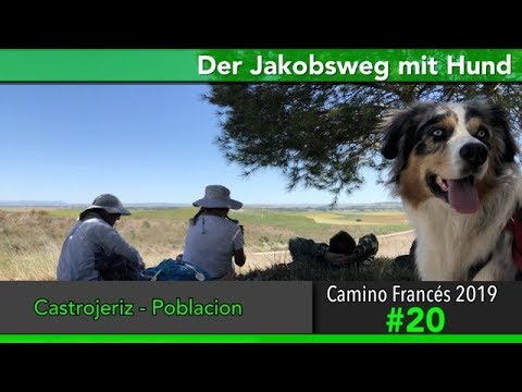 Jakobsweg mit Hund - Doku 2019 (4K) Tag 20: Castrojeriz - Poblacion || Camino Santiago Frances