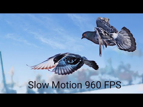 Xiaomi mi 9 lite,  Slow Motion 960 FPS/ Режим слоумо  в телефоне ми 9 лайт