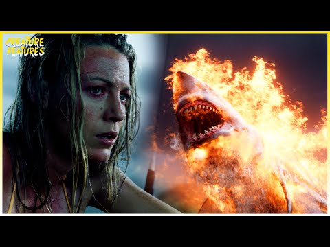Nancy's Showdown With The Great White Shark (Final Scene) | The Shallows | Creature Features