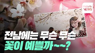 preview picture of video '봄 축제 즐기면서 데이트가자~!'