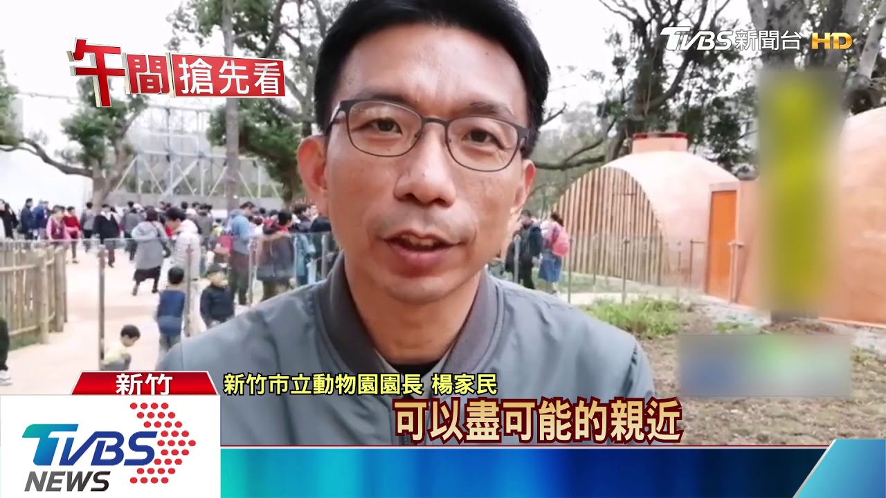 「親近變調皮」櫥窗空隙 男童朝孔雀扔石頭