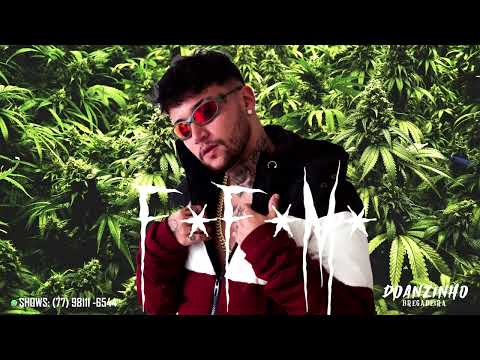 DOANZINHO BREGADEIRA - F*F*M*