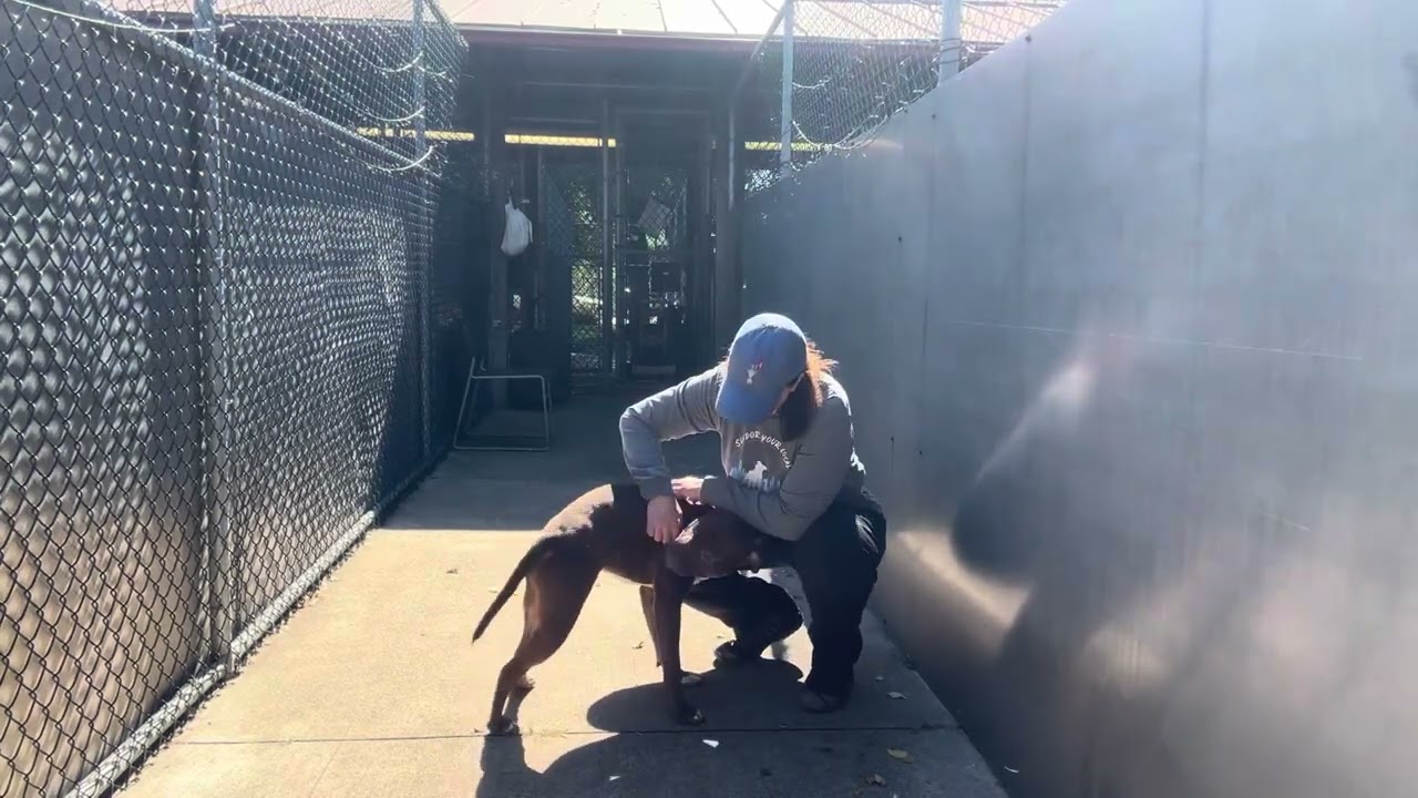Nutella video preview