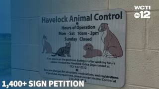 Volunteers fight to return to Havelock Animal Shelter