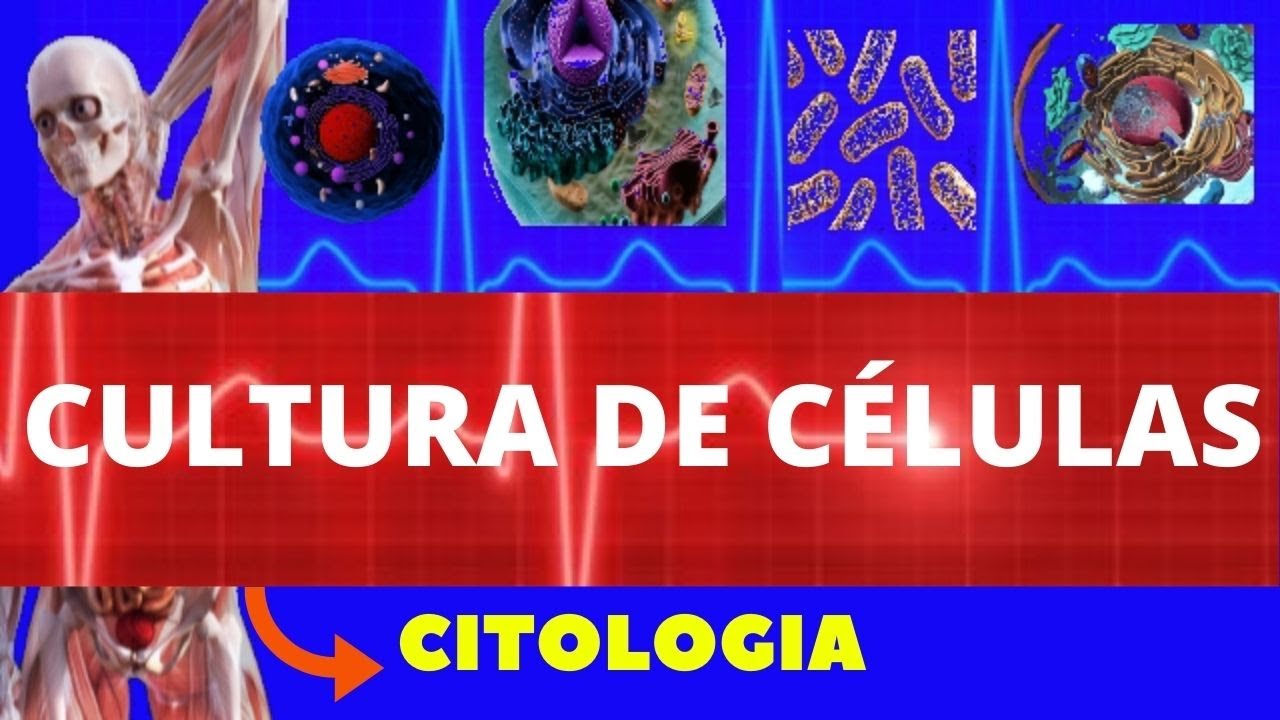 CULTURA DE CÉLULAS E TECIDOS - ENTENDA TUDO SOBRE CULTURA DE CÉLULAS - CITOLOGIA