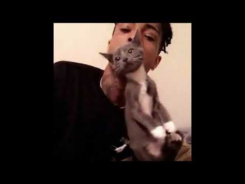 [FREE] HARD RONNY J X LIL PUMP X SMOKEPURPP X XXXTENTACION TYPE BEAT | ''DESTRUCTO''