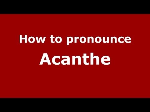 How to pronounce Acanthe