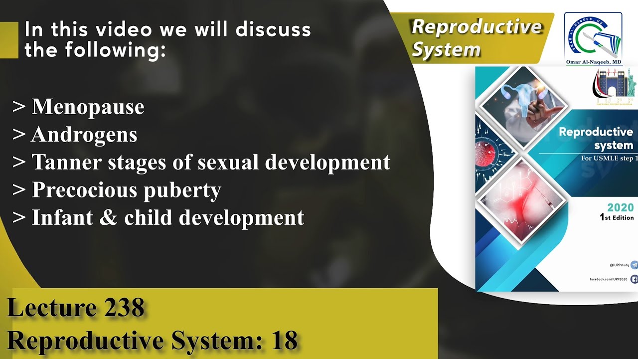 Menopause | Androgens | Tanner stages of sexual development | Precocious puberty | Development