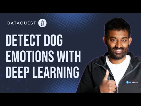 Detect Dog Emotions with Deep Learning (Full Walkthrough with Code)
