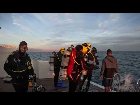 Liveaboard - Red Sea, Egypt - Dec 2024