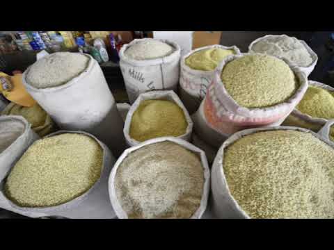 #Garbal, un service d'information numérique pour les pasteurs et les agropasteurs