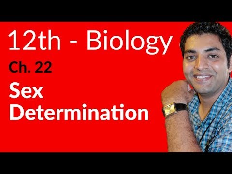 FSc Biology Book 2, Sex Determination - Ch 22 Variation and Genetics - 12th Class Biology