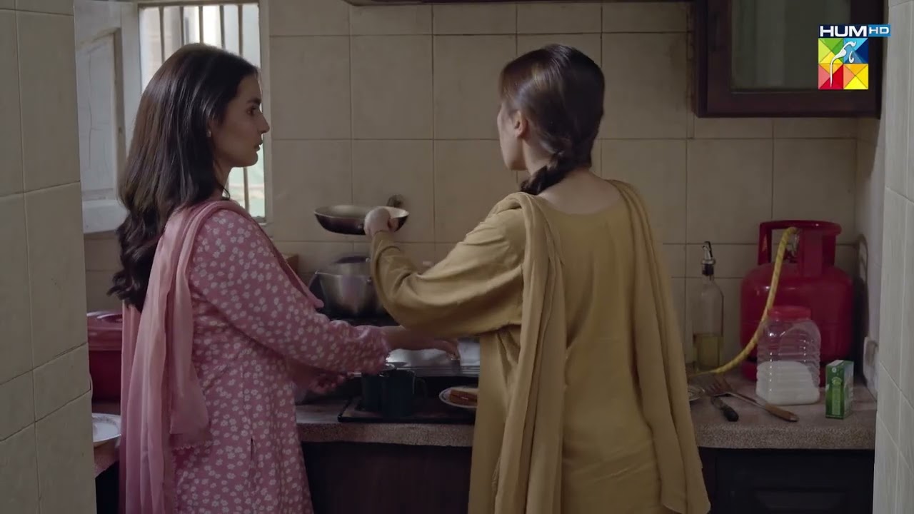 Ameeron Ke Bhi Apne Hi Nakhry Hein...! Mohabbat Mukhtasir - HUM TV