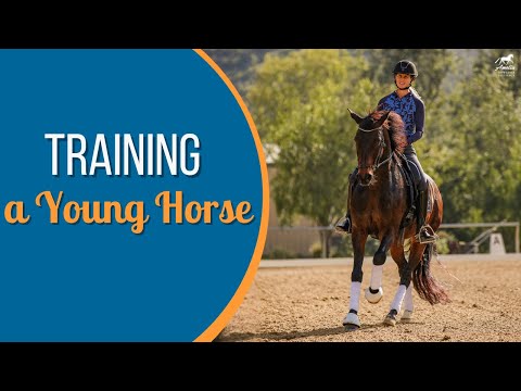 Progressing with a Young Horse