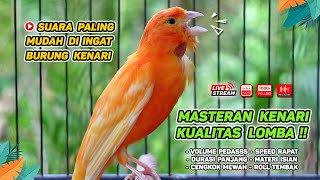 Download lagu Masteran Kenari PAUD & Pancingan Kenari MACET BUNYI‼️ Terapi AMPUH Bikin Kenari GACOR (Episode 16) mp3 Download lagu Masteran Kenari PAUD & Pancingan Kenari MACET BUNYI‼️ Terapi AMPUH Bikin Kenari GACOR (Episode 16) mp3