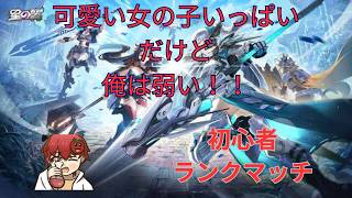 【星の翼】超美少女格闘ゲームはじめますた【ランクマッチ】