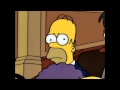 The Simpsons Homer Meow Meow Meow Meow