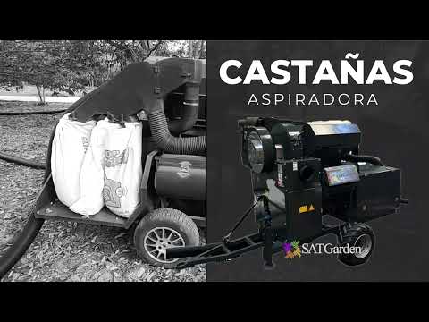 Aspiradora Castañas