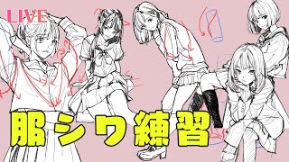 【作業配信】服のシワをひたすら練習するだけ