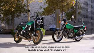 Walkaround Kawasaki Z650RS Trailer