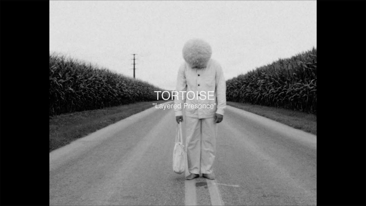 Tortoise - 