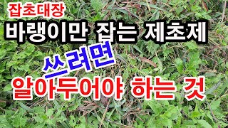 잡초대장 바랭이 잡는 제초제 사용하려면 알아두어야 하는 것(잡초제거 방법, 바랭이 제거법, 바랭이 제초제, …