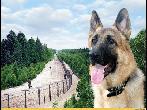download lagu mp3 mp4 песни пограничников, download lagu песни пограничников gratis, unduh video klip песни пограничников