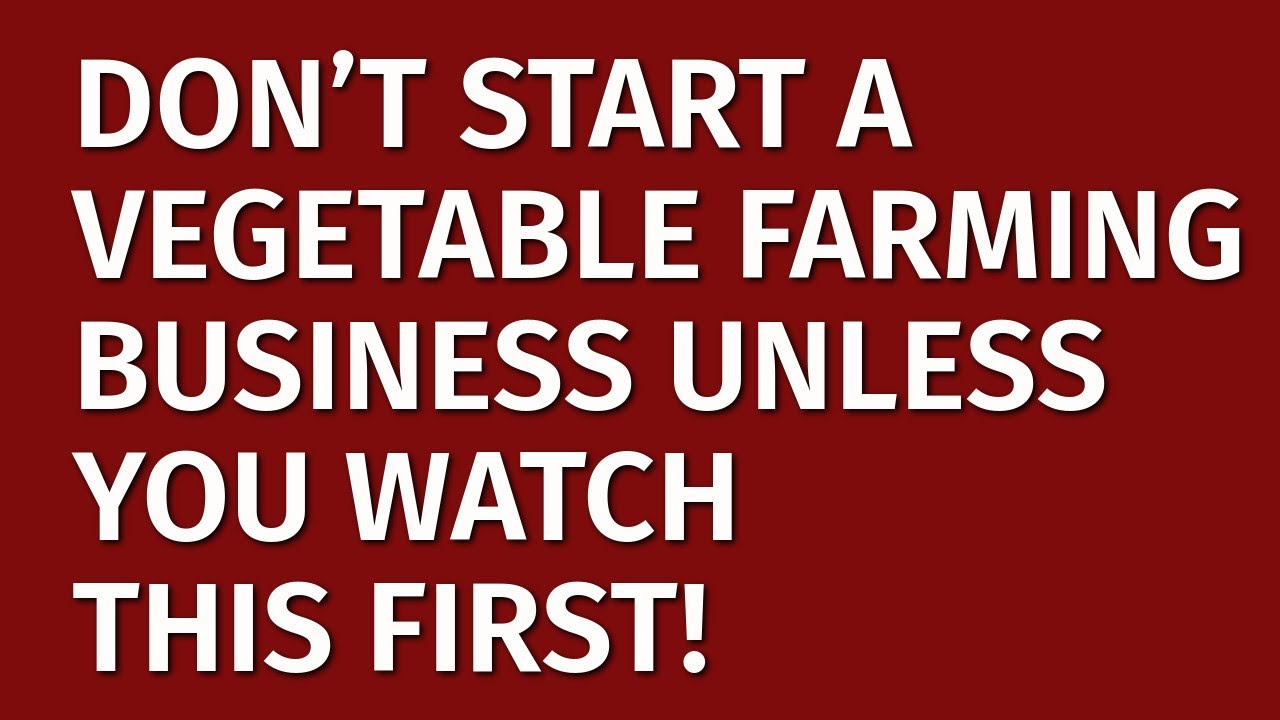 How to Start a Vegetable Farming Business in 2024 | Free Vegetable Farming Business Plan Included