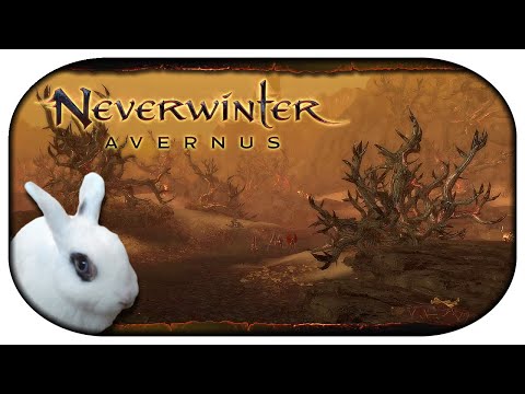 NEVERWINTER: Avernus 🐇 04 - Die Suche nach Erinnerungen