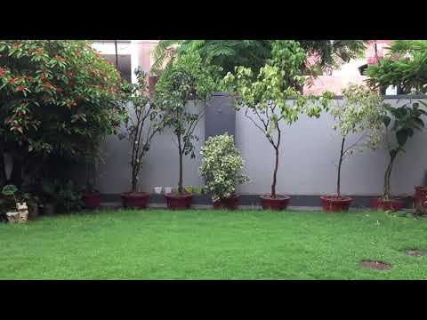 Isigili Sutta (The Discourse at Isigili) : MN 116 : Tr. Piyadassi Thera : AccesstoInsight.Org