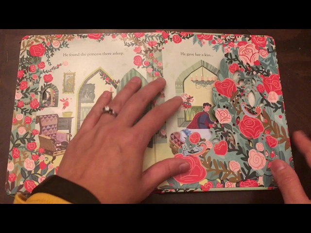 Vídeo relacionado con Party at the Fairy Palace: Peek Inside the 3D Windows (Peek Inside the 3d Windows Popup Books)