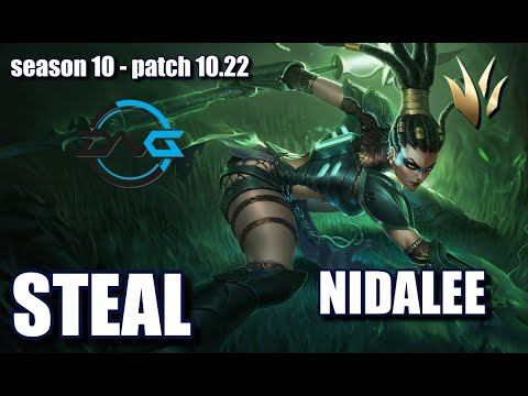 【韓国サーバー/GM/DuoGaeng】DFM Steal ニダリー(Nidalee) VS GenG Clid グレイブス(Graves) JG- Patch10.22 KR Ranked【LoL】