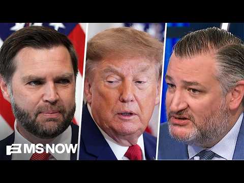 Ted Cruz: GOP not decided on Vance for 2028