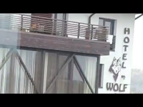 Cazare la Bran - Hotel Wolf